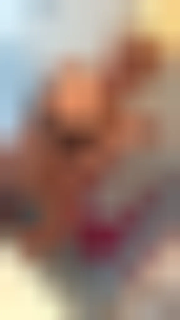 Alessia, 24 anni — incontri extraconiugali a Trento